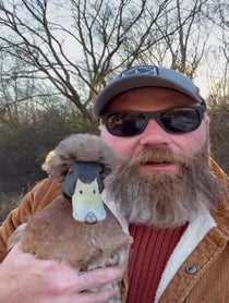 Poster for Other video from Longbottom Bird Rescue