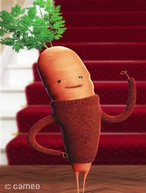 Poster for Intro video video from Kevin The Carrot
