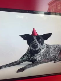 Poster for Other video from Amy Dumas/Lita