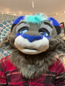 Poster for Advice video from Nalu Catfish