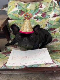 Poster for Birthday video from Oatie Meal