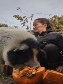 Poster for Gift video from Mina's Animal Sanctuary