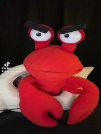 Poster for Roast video from Cranky Crab