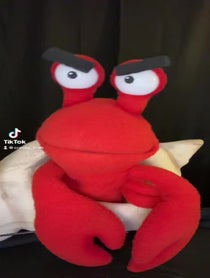 Poster for Roast video from Cranky Crab