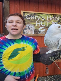 Poster for Other video from Alaska Raptor Center