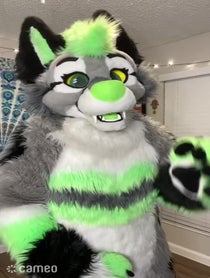 Poster for Intro video video from Toon Wolf