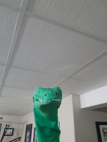 Poster for Valentine's Day video from Croc Daddy