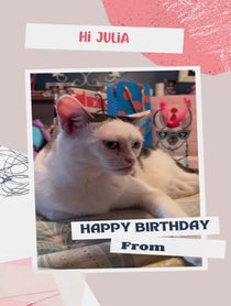 Poster for Birthday video from Buscemi Cat