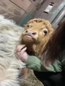 Poster for Birthday video from Katie Van Slyke