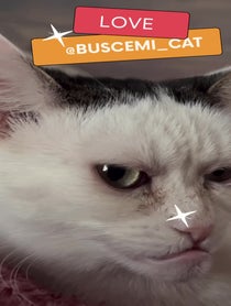 Poster for Birthday video from Buscemi Cat