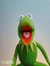 Poster for Intro video video from #KermitFanFrog