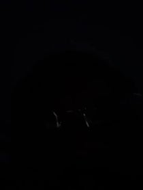 Poster for Birthday video from Akeam Francis