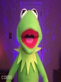Poster for Intro video video from Kermit Impressionist