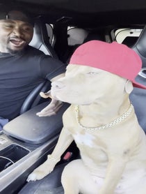 Poster for Other video from Love N Naz