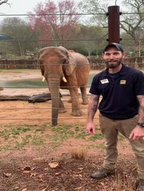 Poster for Birthday video from Kelly the African Elephant