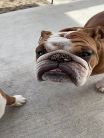 Poster for Other video from Bentley & Finn