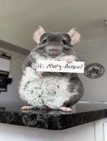 Poster for Birthday video from Chinpals