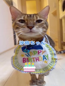 Poster for Birthday video from にゃんたまHOUSE