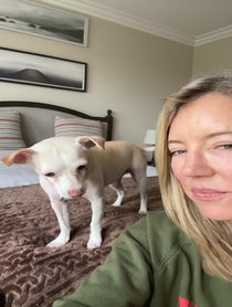 Poster for Birthday video from Cynthia Watros