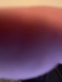 Poster for Birthday video from Steve Valentine