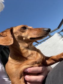 Poster for Birthday video from Max Joseph