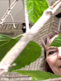 Poster for Other video from Katie Leigh