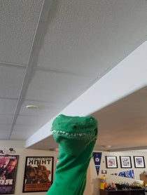 Poster for Other video from Croc Daddy