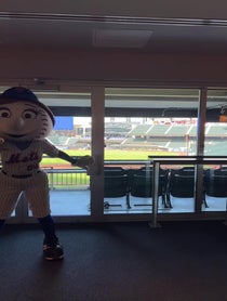 Poster for Birthday video from Mr. &  Mrs. Met