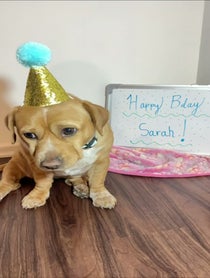 Poster for Birthday video from Cashew