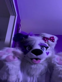 Poster for Birthday video from Galaxie Collie
