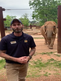 Poster for Birthday video from Kelly the African Elephant