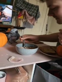 Poster for Roast video from Fart Birb