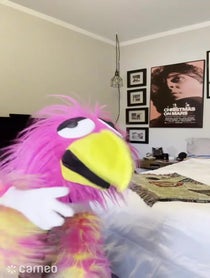 Poster for Intro video video from Chad the Bird