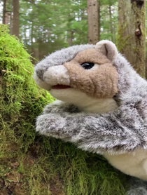 Poster for Pep Talk video from Squirrel Dialogues