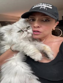 Poster for Other video from Anne Marie Avey/Colonel Meow