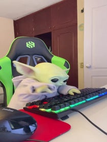 Poster for Other video from Yodabeibi