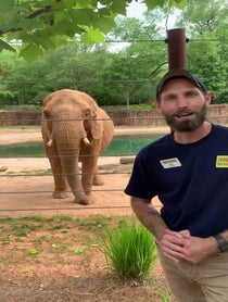 Poster for Mother's Day video from Kelly the African Elephant