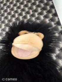 Poster for Intro video video from Charlie chimp