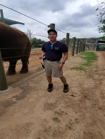 Poster for Mother's Day video from Elephants at Houston Zoo