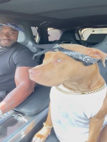 Poster for Birthday video from Love N Naz