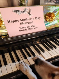 Poster for Mother's Day video from Pawly Hoops