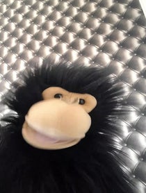 Poster for Birthday video from Charlie chimp