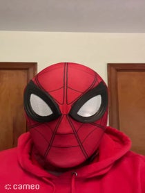 Poster for Intro video video from Spiderman