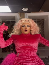 Poster for Other video from Elektra Fence