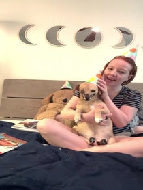 Poster for Birthday video from Haddie The Pirate Dog