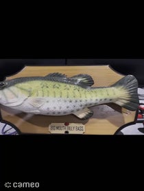 Poster for Intro video video from Talking Fish