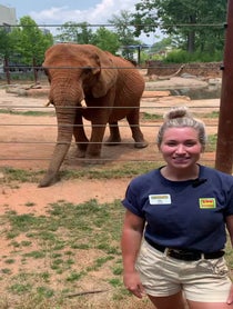 Poster for Other video from Kelly the African Elephant