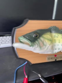 Poster for Birthday video from Talking Fish