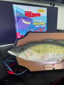 Poster for Other video from Talking Fish