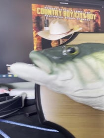 Poster for Other video from Talking Fish
